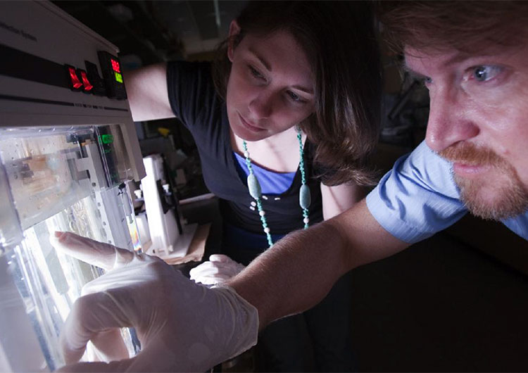  Bachelor of Science -Biology